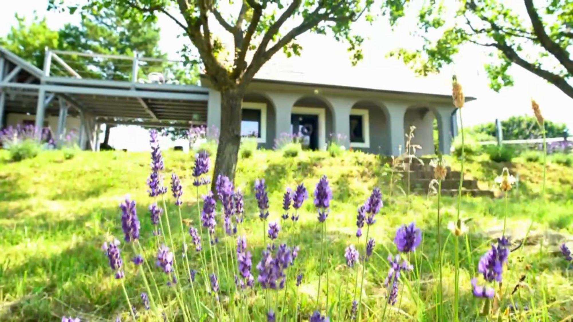 Voelgyhid Village Balaton Kőröshegy Esterno foto